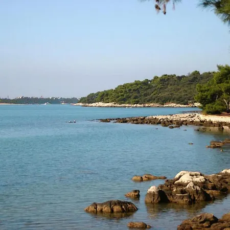 Stylish Seaside In *